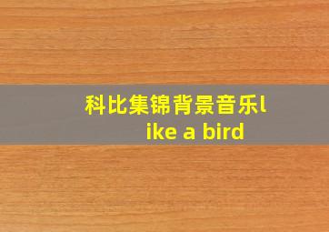 科比集锦背景音乐like a bird